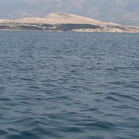 Pave & Ilija Jr Lägenhet