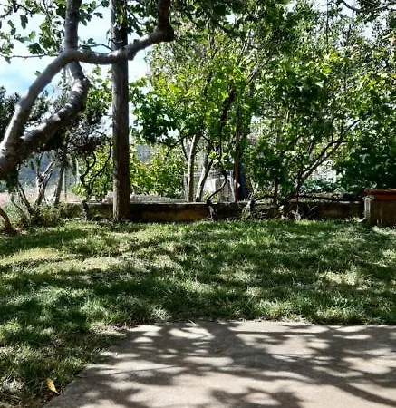 Pave & Ilija Jr Лопар