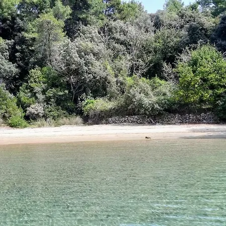 Pave & Ilija Jr * Лопар