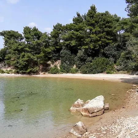 Pave & Ilija Jr Лопар